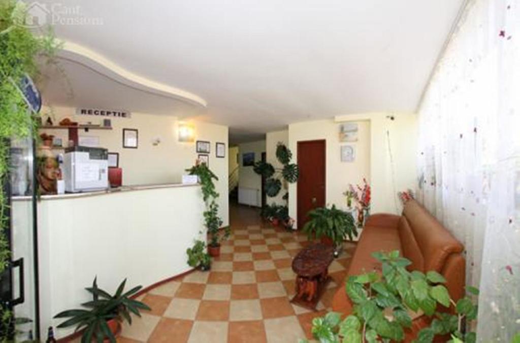 Pensiunea Ramona Tulcea Bilik gambar